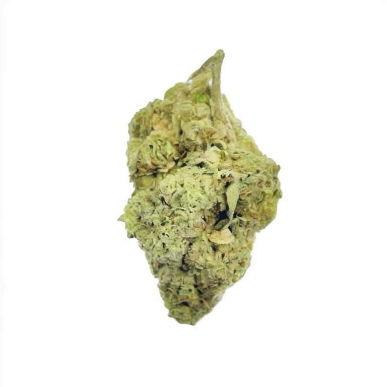 Durban Poison Flower - THCA - Sativa - 2