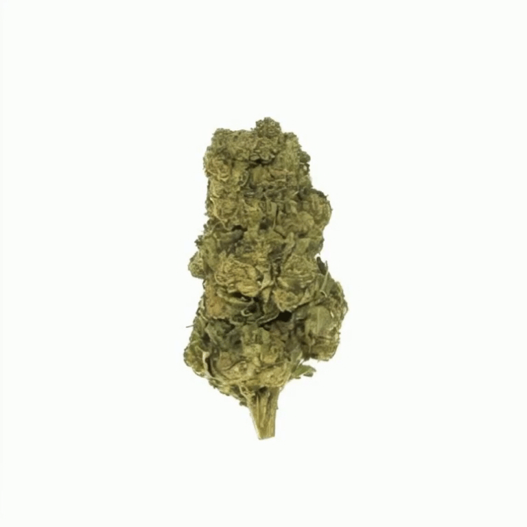 Black Cherry Gelato Flower - THCA - Indica - 2