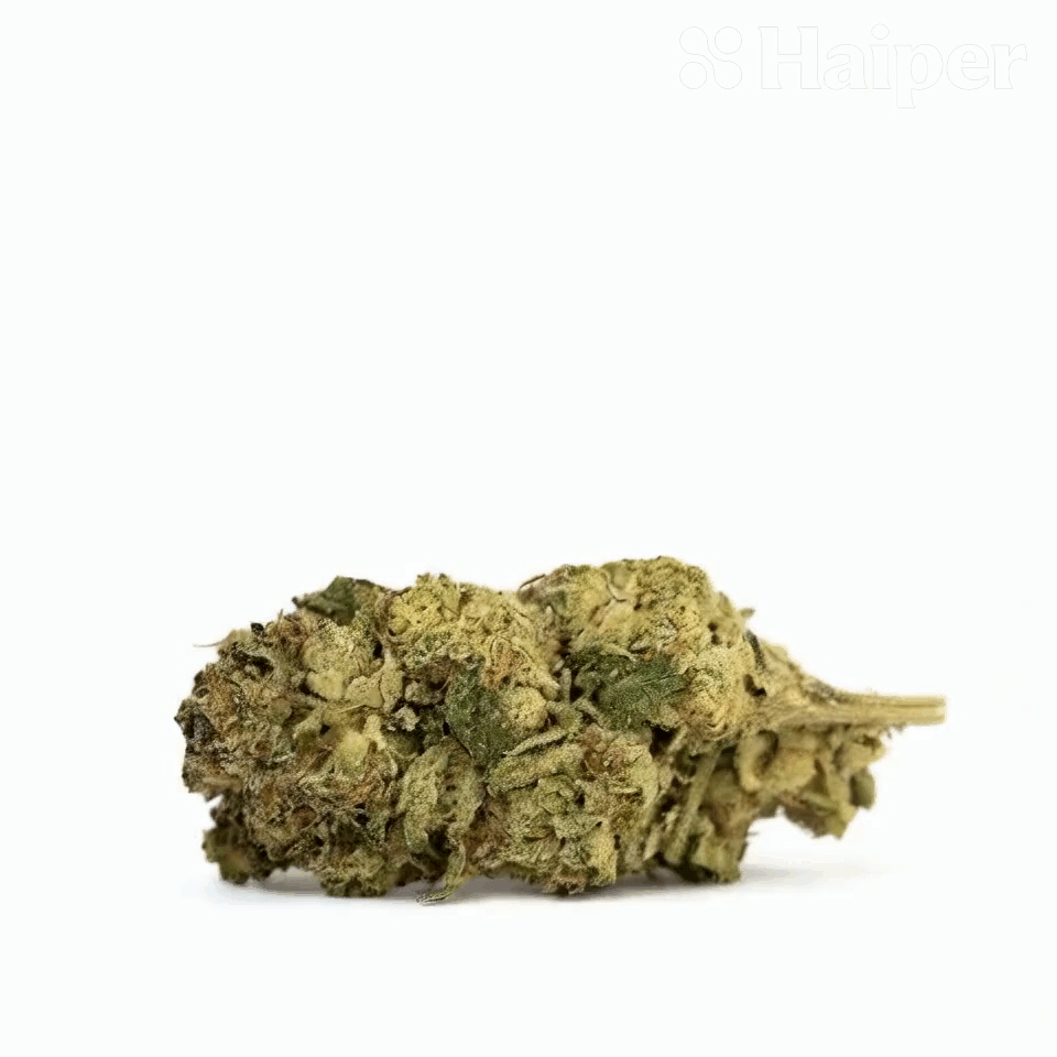 Walrus Kush Flower - THCA - Hybrid - 2