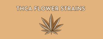 How to Find THCA Flower Strains for You