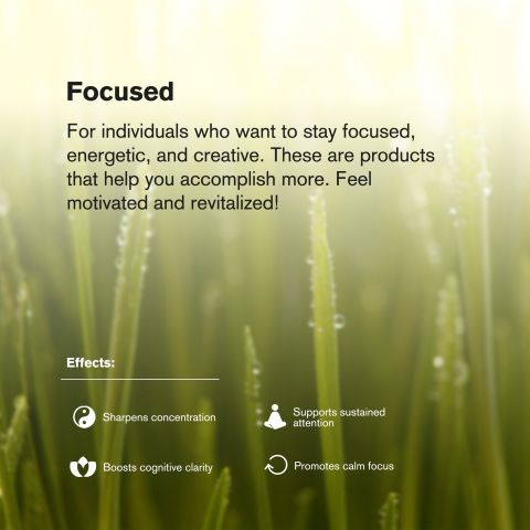 Gary Payton Flower - THCA - Hybrid - Thumbnail 6