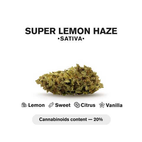 0.5g Super Lemon Haze Mini Pre-Roll - Sativa - THCA - 5 Joints - Thumbnail 5