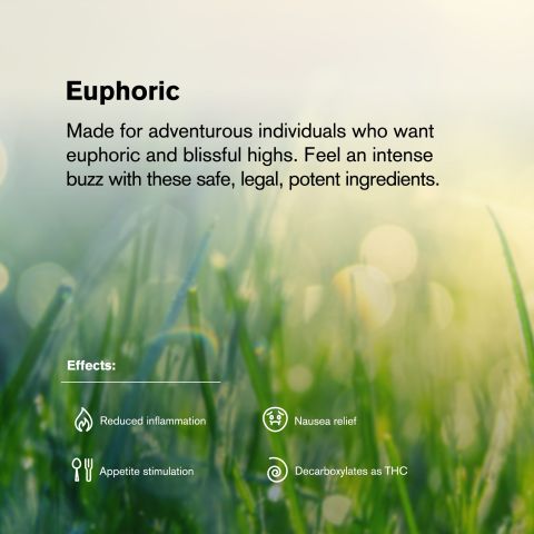 1.5g Blue Dream King Size Pre-Roll - Hybrid - THCA - 1 Joint - Thumbnail 8