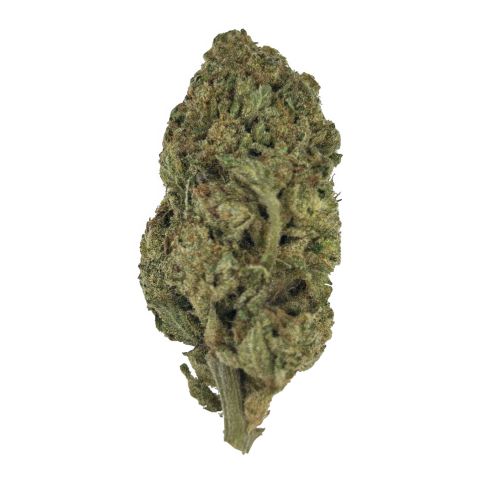 Pink Candy Flower - THCA - Sativa - Thumbnail 1