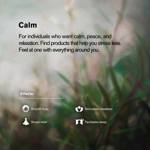 25mg Delta 8 Soft Gel Capsules - 60ct - Chill Plus - Thumbnail 6