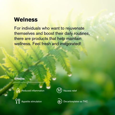 Black Runtz Flower - THCA - Hybrid - Thumbnail 6