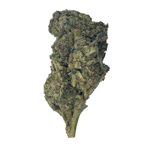 Gusher Cake Flower - THCA - Hybrid - Thumbnail 1