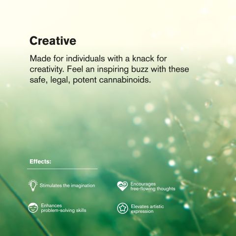 Geladosi Flower - THCA - Indica - Thumbnail 6