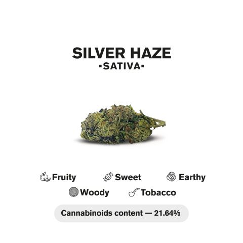 0.5g Silver Haze Mini Pre-Roll - Sativa - THCA - 5 Joints - Thumbnail 5