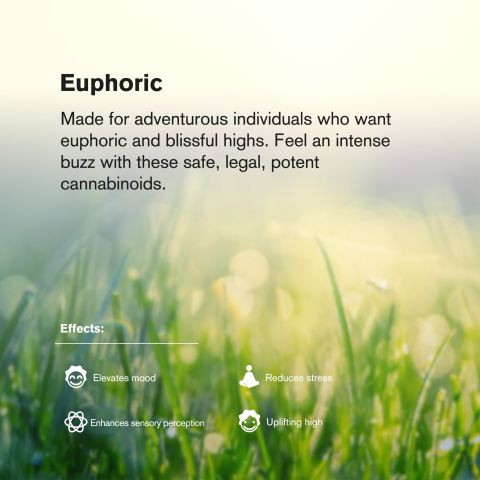 1.5g Wedding Cake King Size Pre-Roll - Indica - THCA - 1 Joint - Thumbnail 8