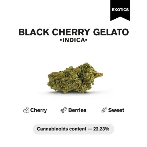 Black Cherry Gelato Flower - THCA - Indica - Thumbnail 5