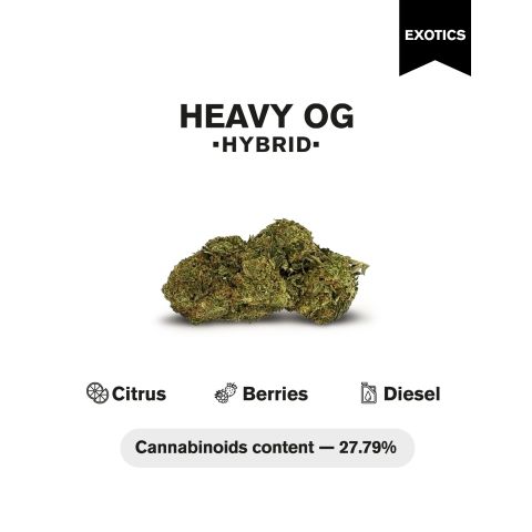 Heavy OG Flower - THCA - Hybrid - Thumbnail 4