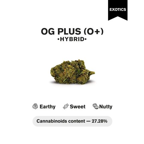 OG Plus (O+) Flower - THCA - Hybrid - Thumbnail 4