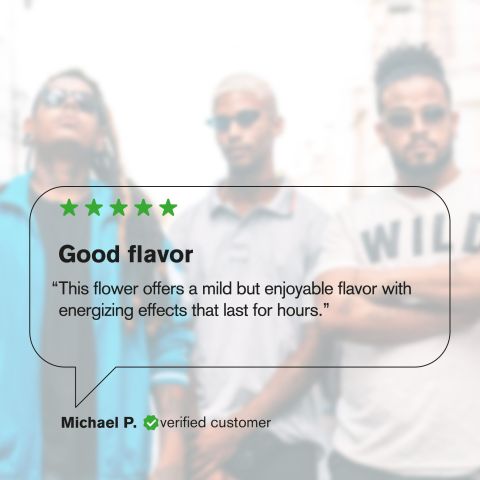 Banana Flower - THCA - Hybrid - Thumbnail 8