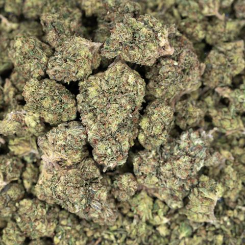 Jungle Juice Flower - THCA - Hybrid - Thumbnail 3