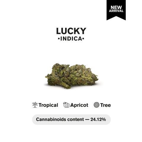 Lucky Flower - THCA - Indica - Thumbnail 4