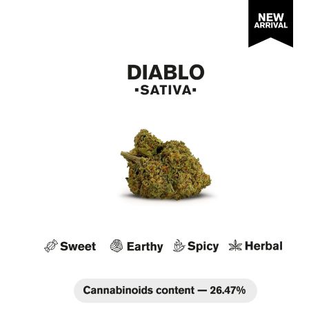 Diablo Flower - THCA - Sativa - Thumbnail 4