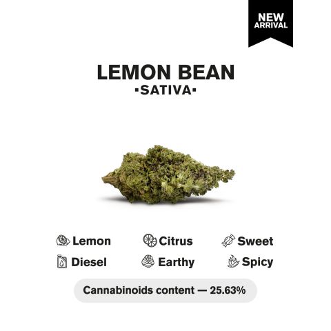 Lemon Bean Flower - THCA - Sativa - Thumbnail 4