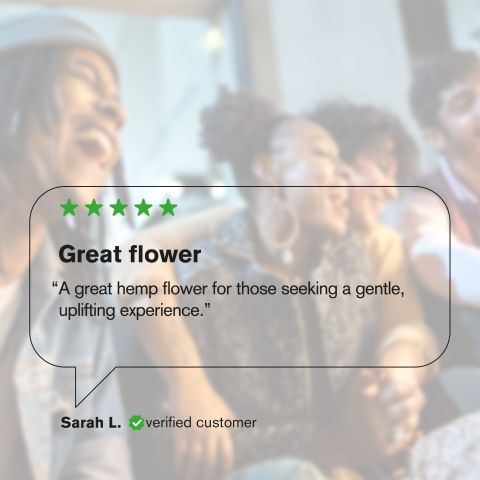 Lemon Bean Flower - THCA - Sativa - Thumbnail 7