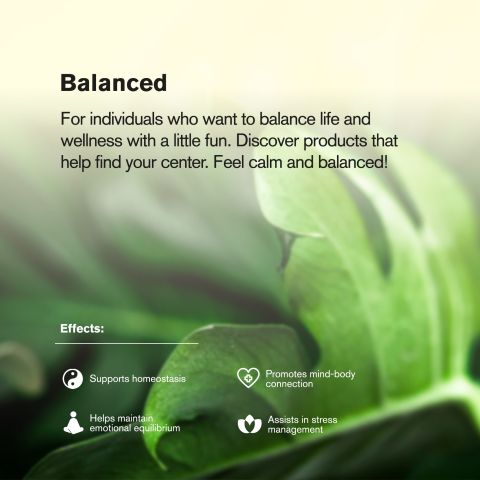 1.5g Area 41 King Size Pre-Roll - Hybrid - THCA - 1 Joint - Thumbnail 8