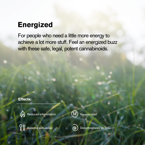 0.5g Sour Diesel Mini Pre-Roll - Sativa - THCA - 5 Joints - Thumbnail 9