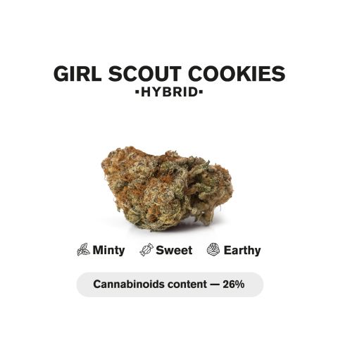 1.5g Girl Scout Cookies King Size Pre-Roll - Indica - THCA - 5 Joints - Thumbnail 5