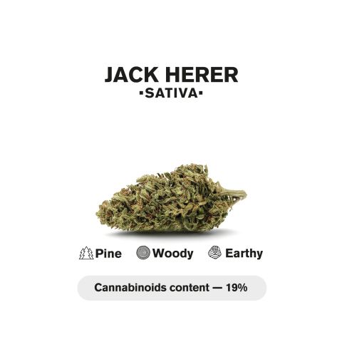 1.5g Jack Herer King Size Pre-Roll - Sativa - THCA - 5 Joints - Thumbnail 5