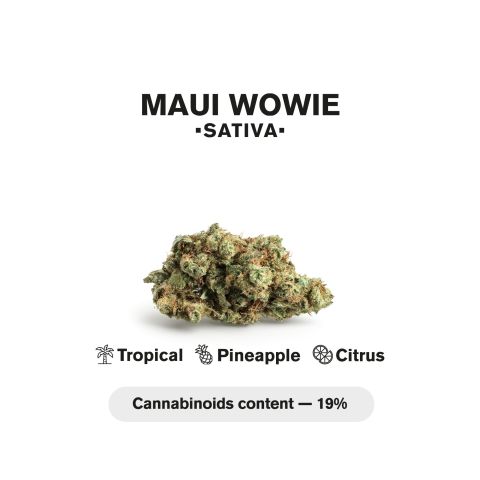 0.5g Maui Wowie Mini Pre-Roll - Sativa - THCA - 5 Joints - Thumbnail 5