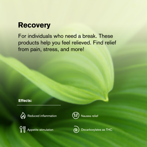 0.5g Hindu Kush Mini Pre-Roll - Indica - THCA - 5 Joints - Thumbnail 9