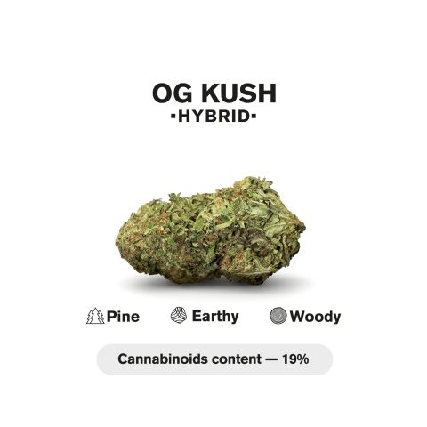 1.5g OG Kush King Size Pre-Roll - Hybrid - THCA - 1 Joint - Thumbnail 5