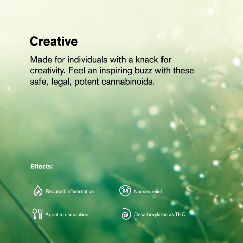 1.5g Pancakes King Size Pre-Roll - Hybrid - THCA - 1 Joint - Thumbnail 8