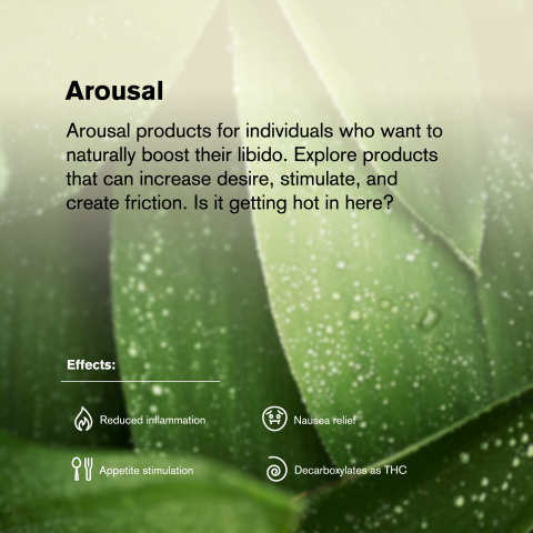 1.5g Forbidden Fruit King Size Pre-Roll - Indica - THCA - 5 Joints - Thumbnail 9