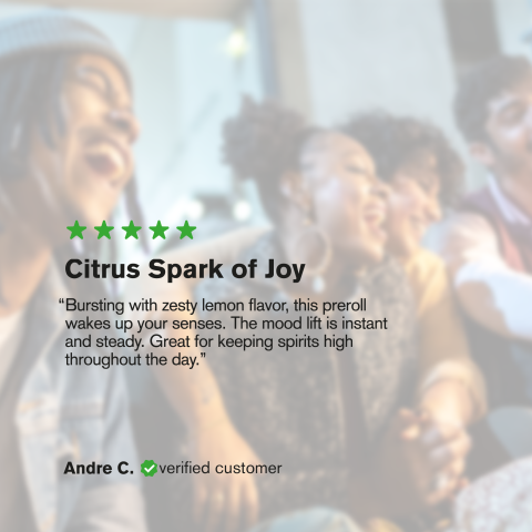 1.5g Lemon Skunk King Size Pre-Roll - Hybrid - THCA - 1 Joint - Thumbnail 9