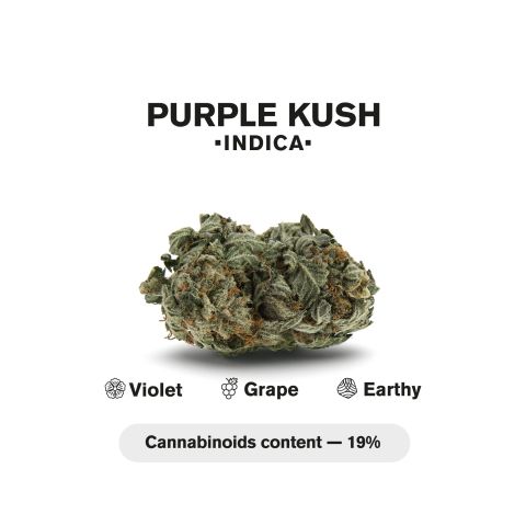 0.5g Purple Kush Mini Pre-Roll - Indica - THCA - 5 Joints - Thumbnail 5