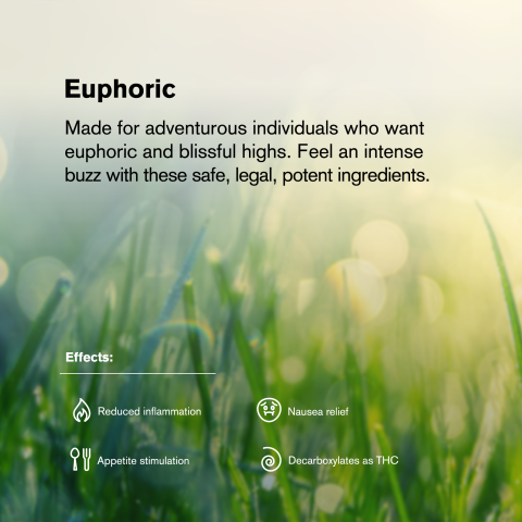 0.5g Gelato #33 Mini Pre-Roll - Hybrid - THCA - 5 Joints - Thumbnail 9