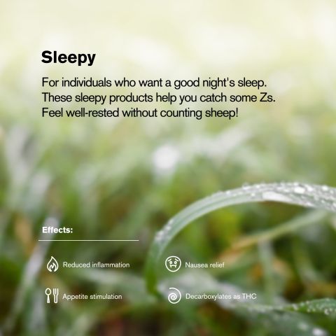 0.5g GrandDaddy Purp Mini Pre-Roll - Indica - THCA - 5 Joints - Thumbnail 9