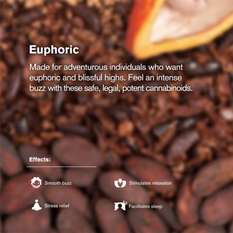 600mg Dark Chocolate & Sea Salt Bar - Delta 8 - Thumbnail 5