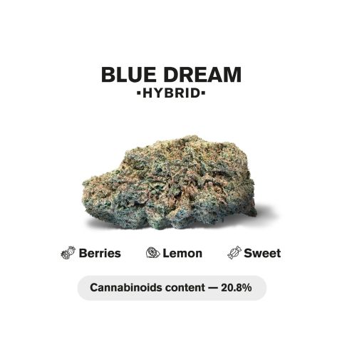 Blue Dream Flower - THCA - Hybrid - Thumbnail 3