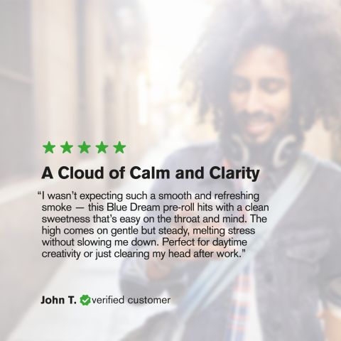 Blue Dream Flower - THCA - Hybrid - Thumbnail 6