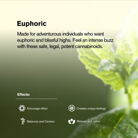 200mg Mint Chip Waffle Cones - D8 & THCP - Thumbnail 5