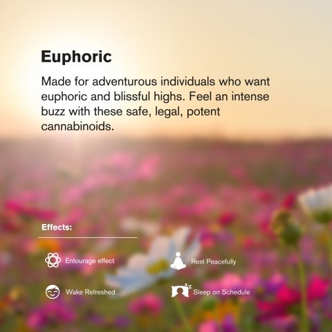 150mg D8 & THCP Gummies - Tropical Mix - Thumbnail 8