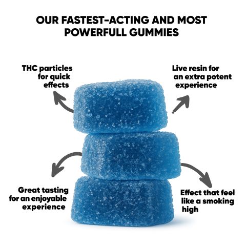 10mg THCV Gummies - Blueberry - Thumbnail 6