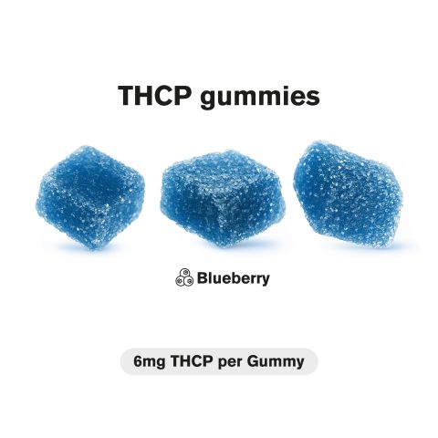 6mg THCP Gummies - Blueberry - Thumbnail 5