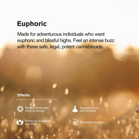 100mg Delta 8 Gummies - Sour Watermelon Rings - Thumbnail 9