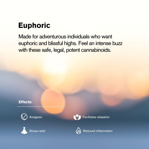 25mg CBG Nano Tablets - Berries - Chill Plus - Thumbnail 6