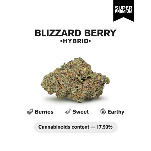 Blizzard Berry Flower - THCA - Hybrid - Thumbnail 3