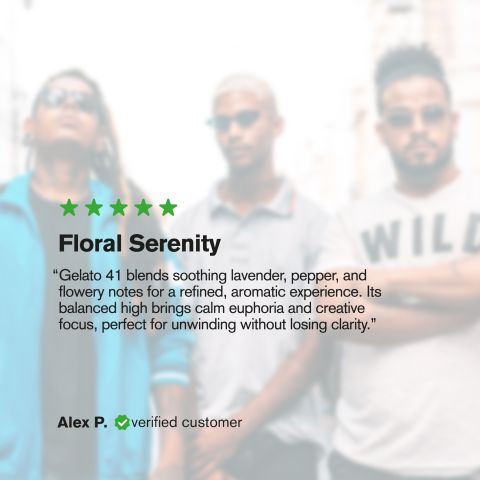 Gelato 41 Flower - THCA - Hybrid - Thumbnail 6