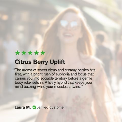 Halle Berry Flower - THCA - Hybrid - Thumbnail 6