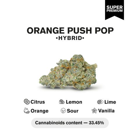 Orange Push Pop Flower - THCA - Hybrid - Thumbnail 3