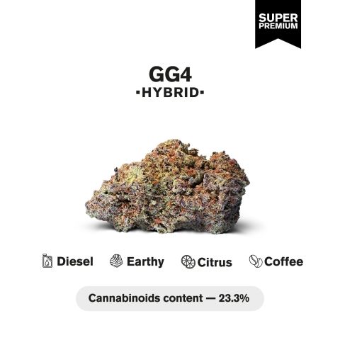 GG4 Flower - THCA - Hybrid - Thumbnail 3